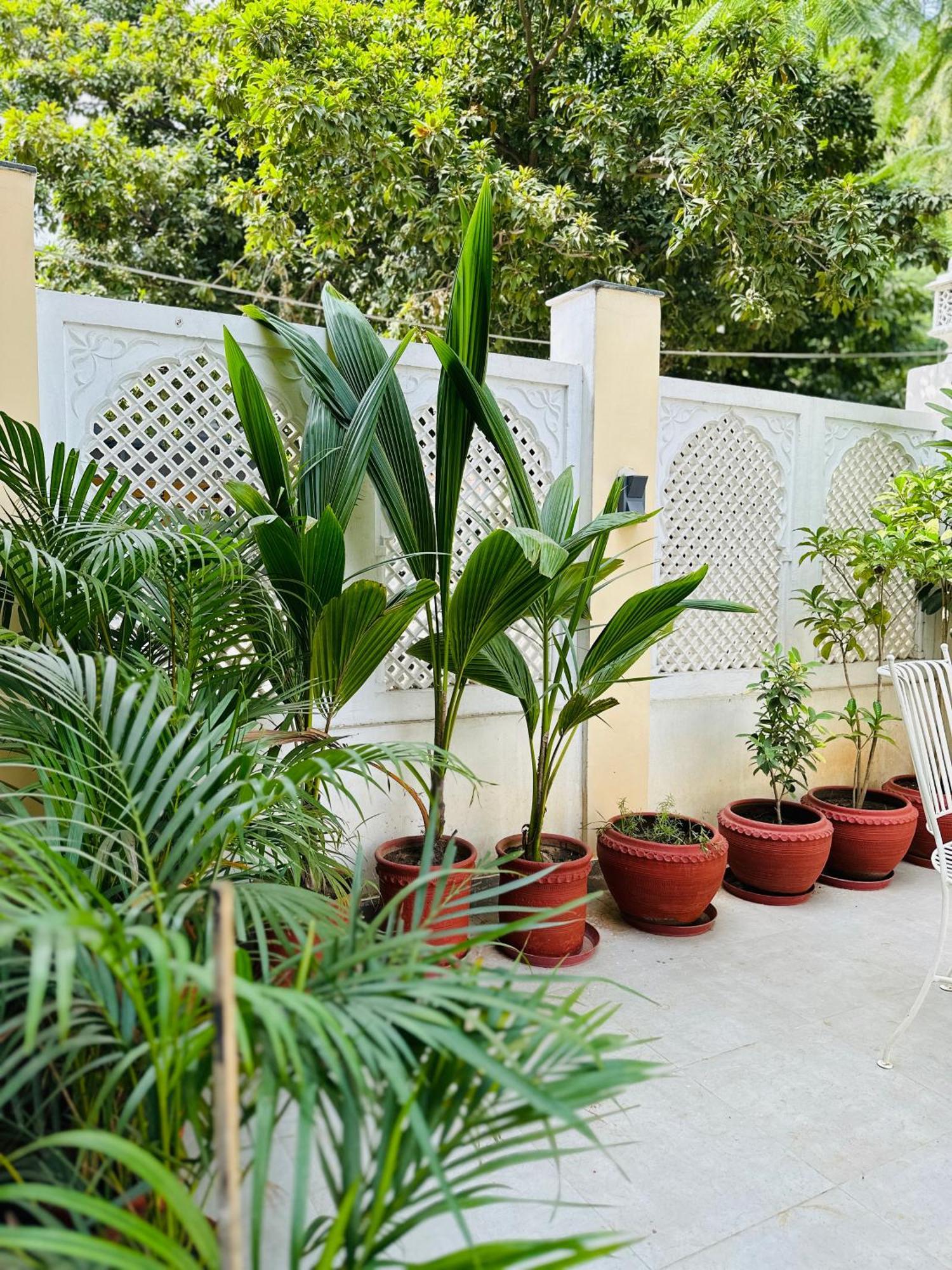 Anandmai - Sustainable Living Spaces Τζαϊπούρ Εξωτερικό φωτογραφία